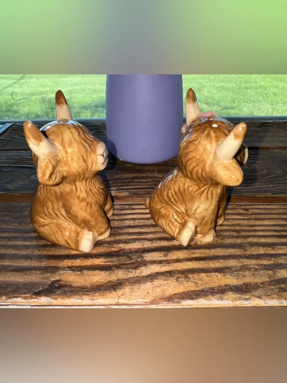 Highland Cows Salt & Pepper Shakers - NIP
